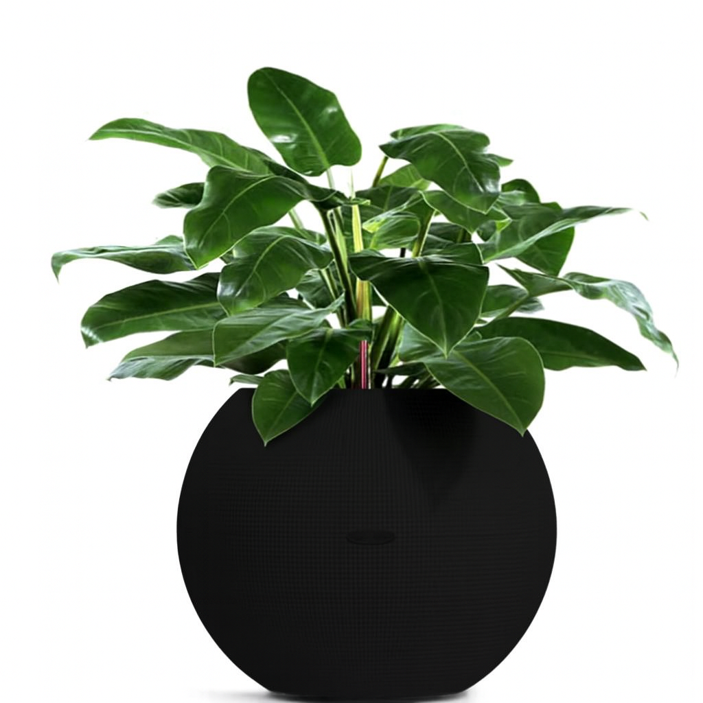 Planterlife Pura Self Watering Planter