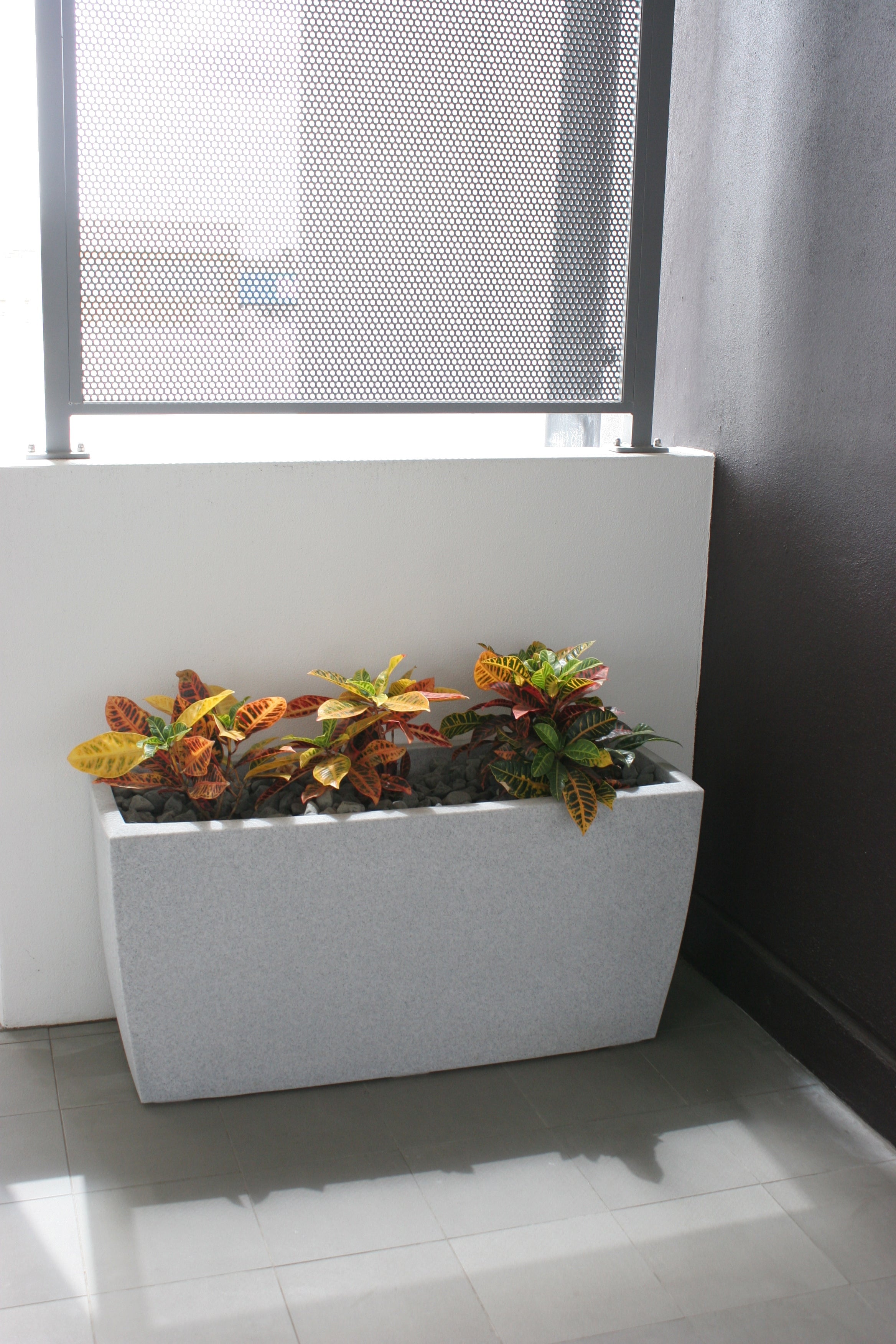 Cabriolet Trough