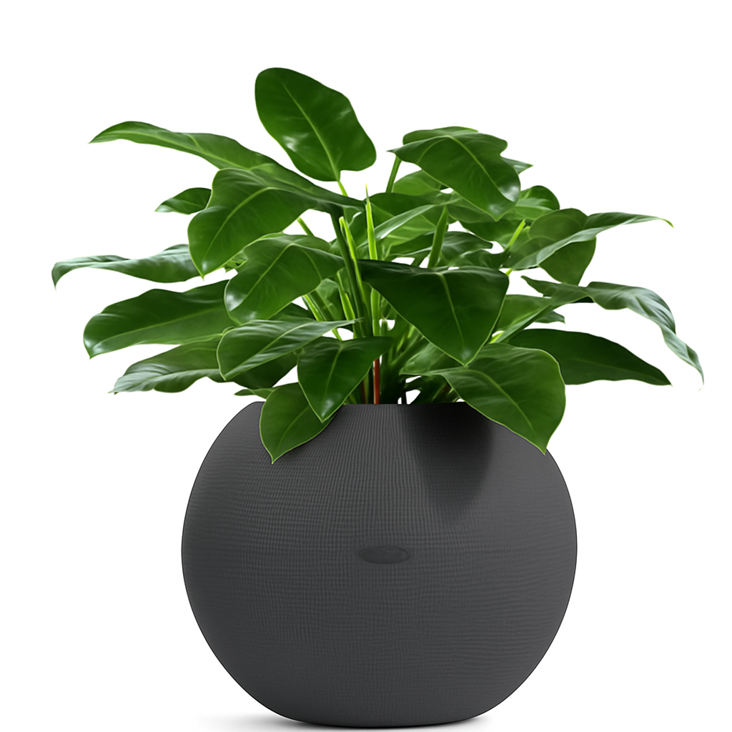 Planterlife Pura Self Watering Planter