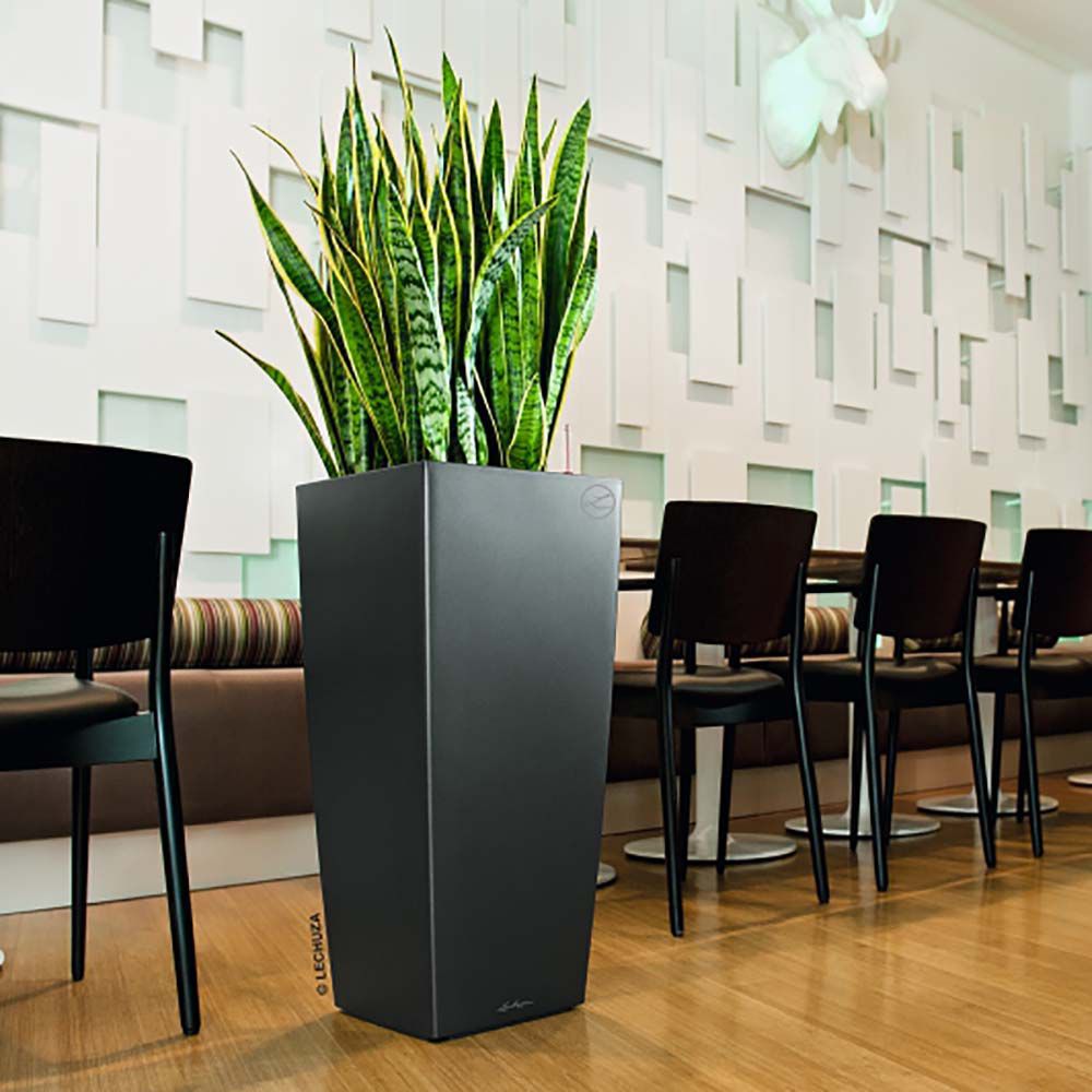 Tall Self Watering Planter in the Dining Room