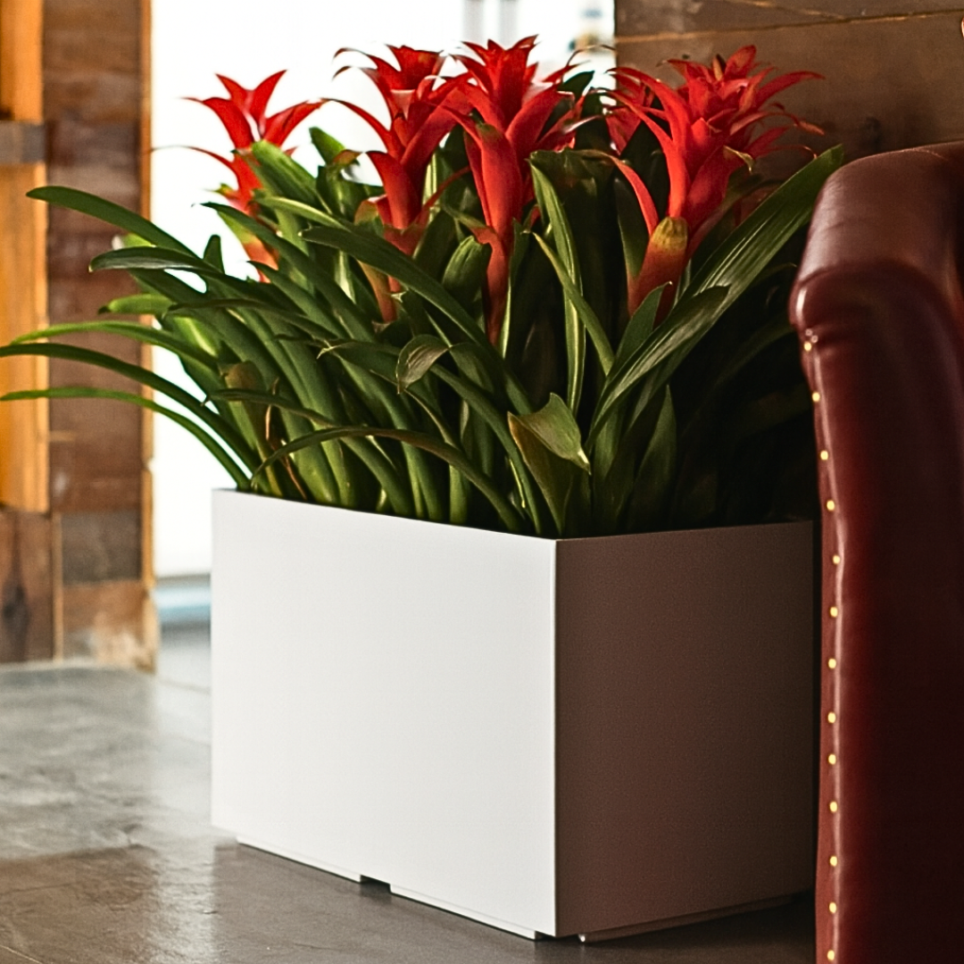 Planterlife Flume Rectangle Self Watering Planter