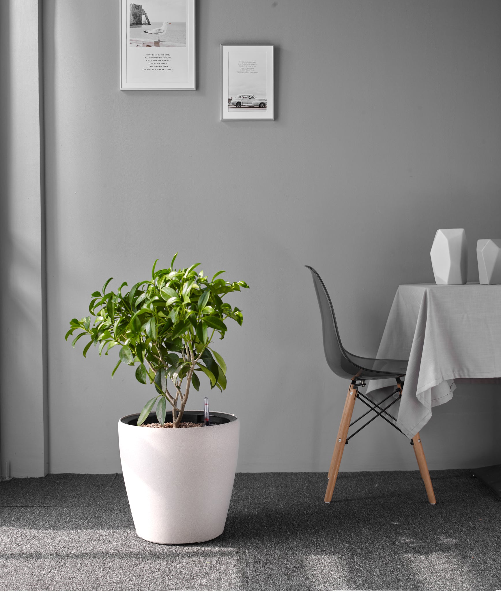 Kylix self-watering planter classic round indoor pot