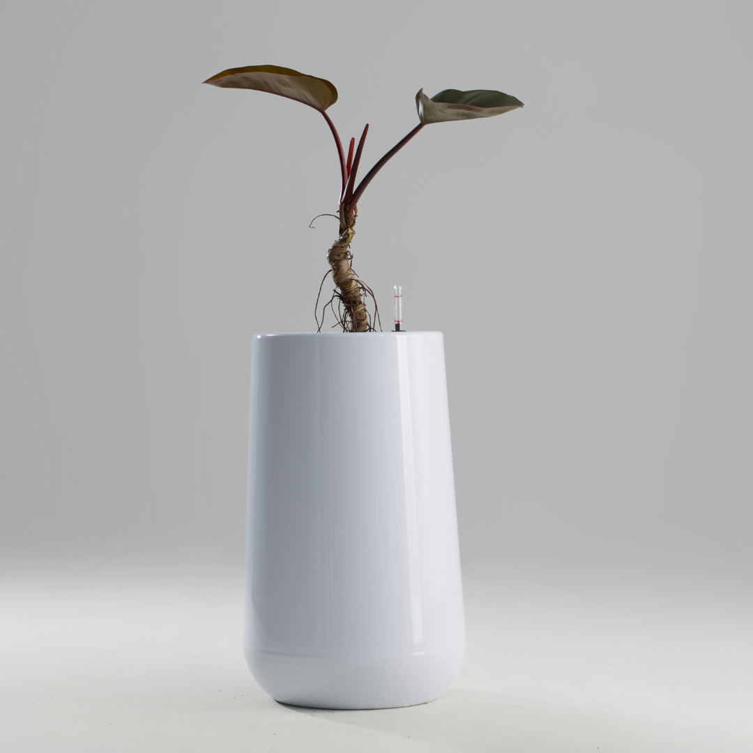 Planterlife Alendro Self Watering Planter