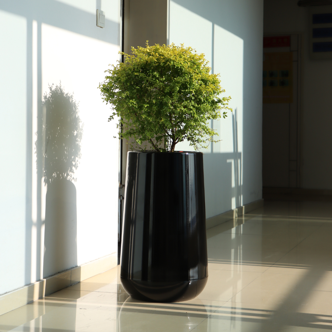 Planterlife Alendro Self Watering Planter