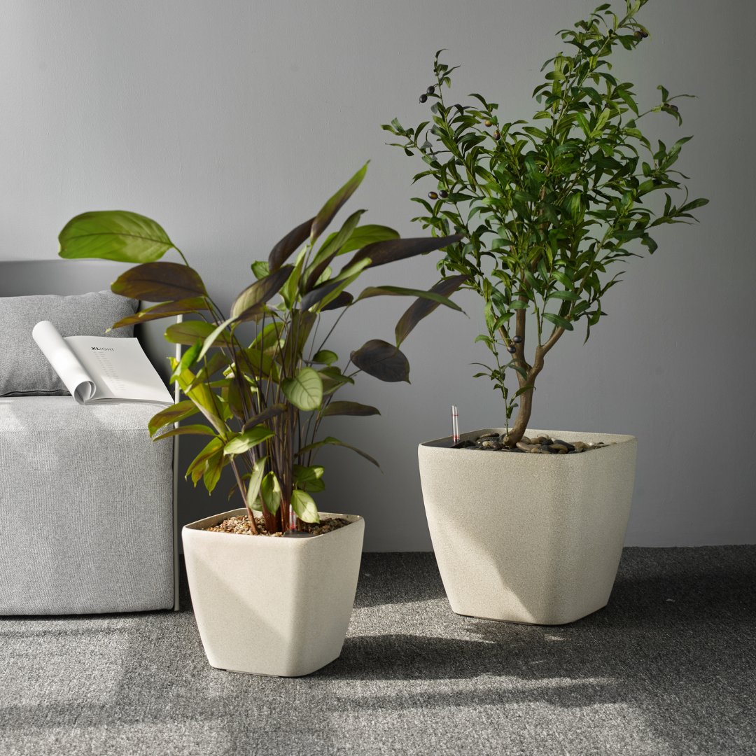 self watering planter australia Hexa Self-Watering Planter | Cube Indoor & Outdoor Pot