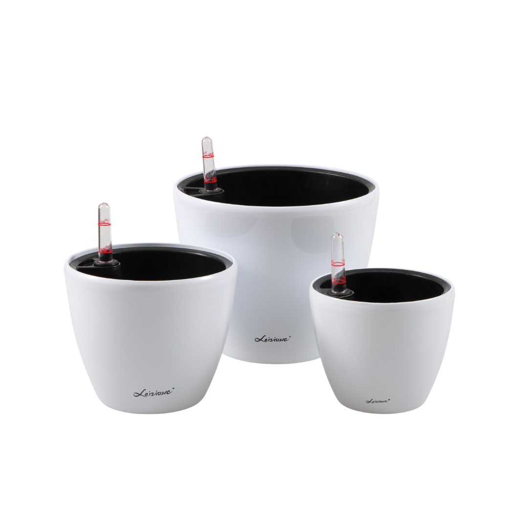 Planterlife Kylix Mini Self Watering Planter