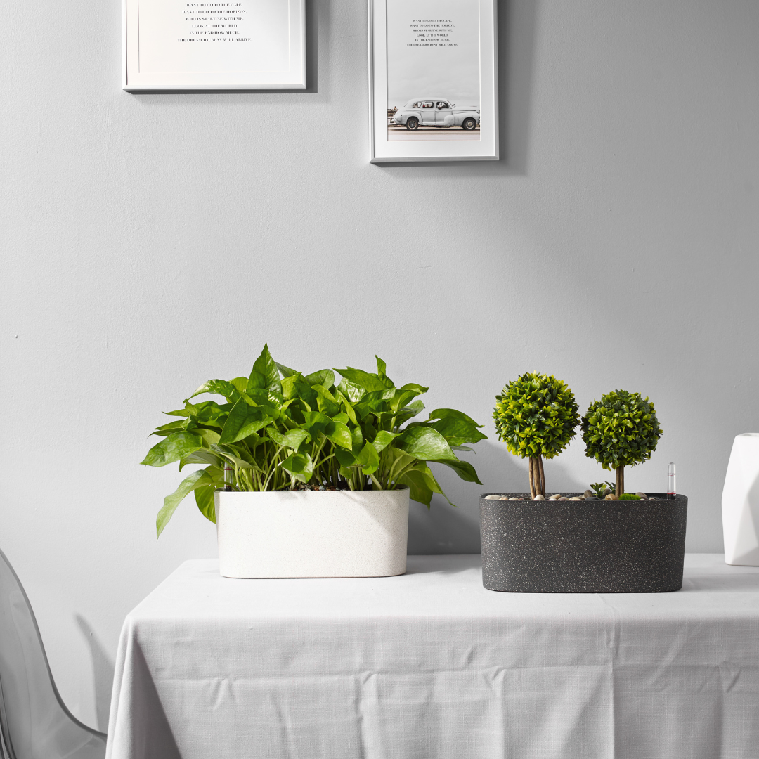 self watering planter australia Planterlife Surface Self Watering Planter