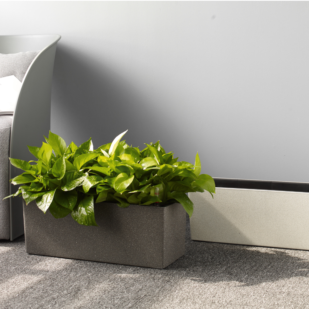 Planterlife Tapered Trough Self Watering Planter