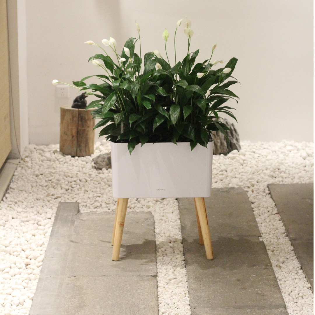 indoor trough planter on legs Planterlife Legna Trough Self Watering Planter
