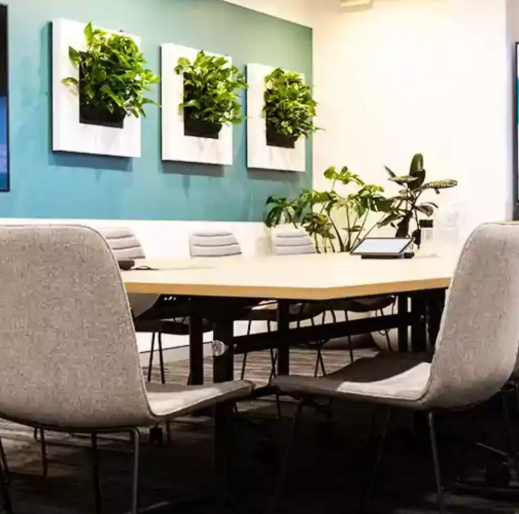 LivePicture Go (LPGO) – Glossy