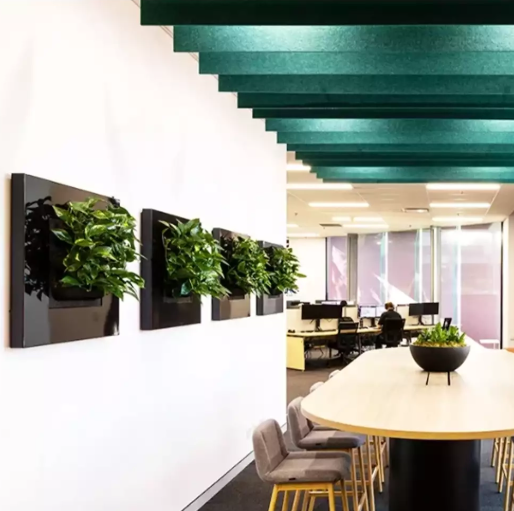 LivePicture Go (LPGO) – Bamboo (Matte)