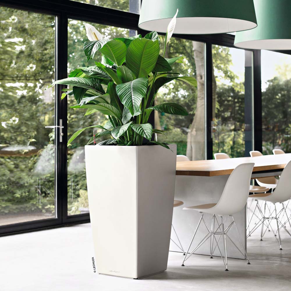 Kubik Tall Self Watering Indoor Planter by PlanterLife at the Dining Table