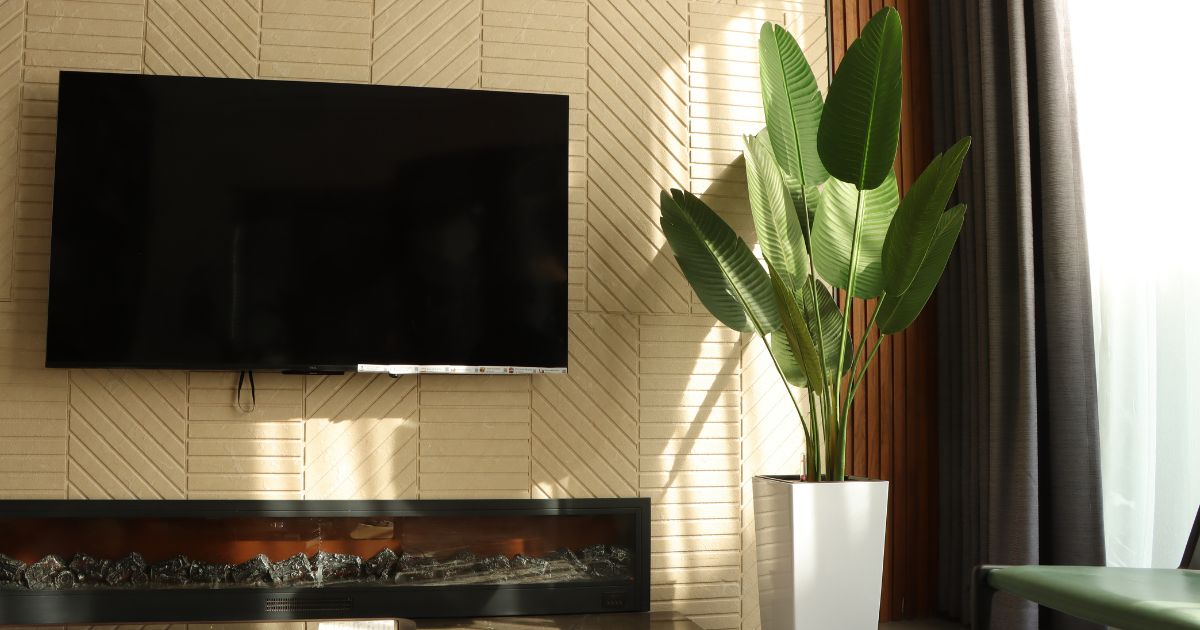 Indoor plant placed in bright indirect light to reduce heat stress during summer